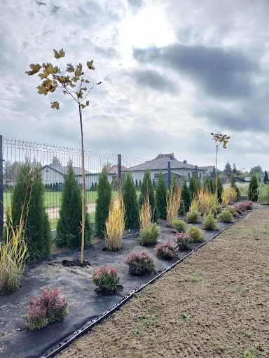 Garden Zielone Hobby - zakładanie ogrodów